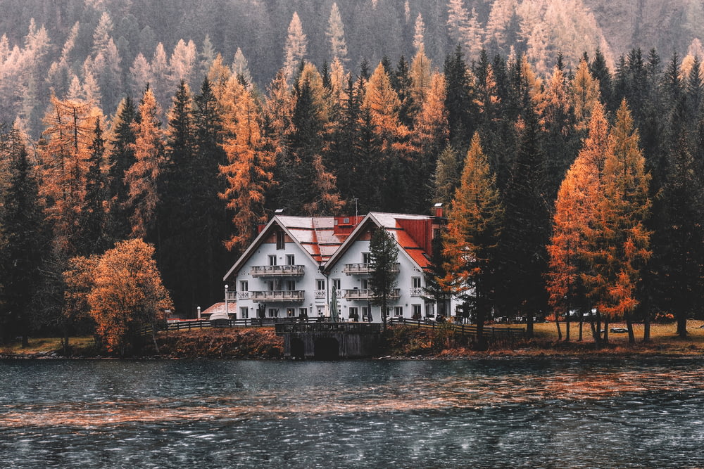 Casa branca perto de pinheiros e corpo de água