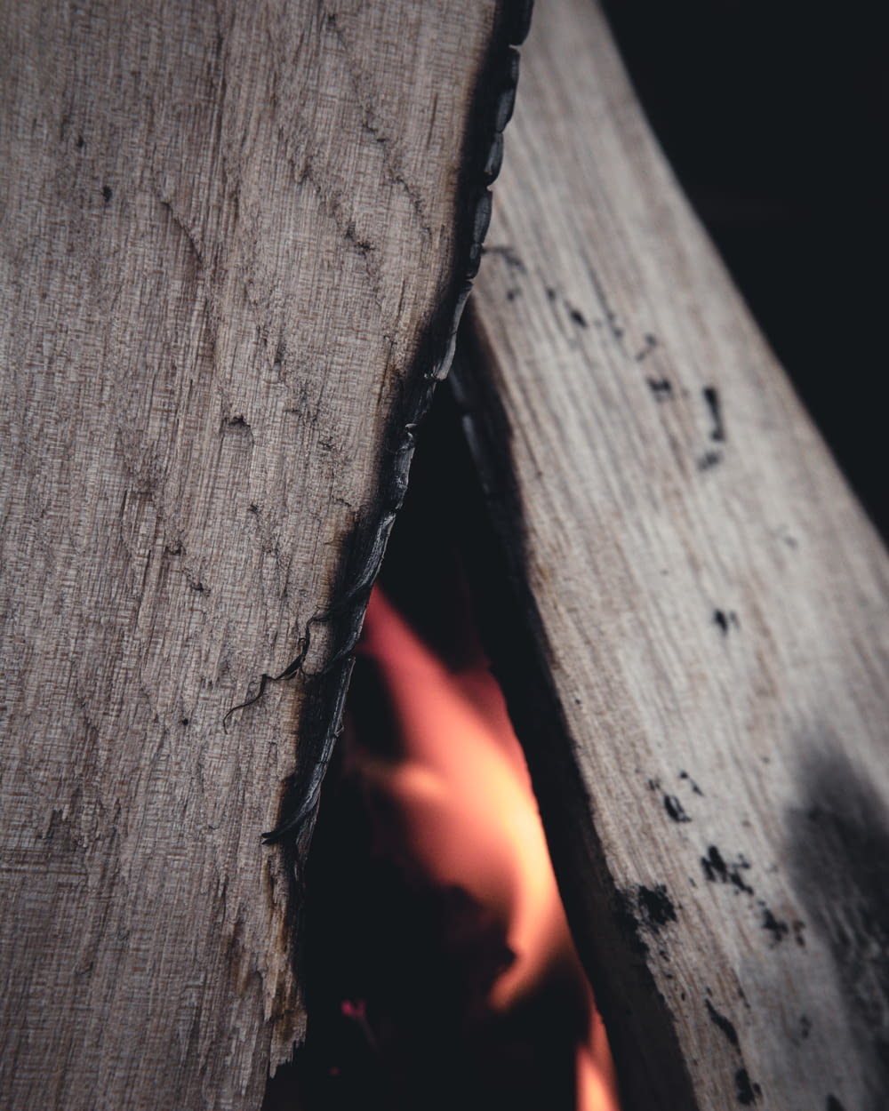 closeup photo of flame and wood