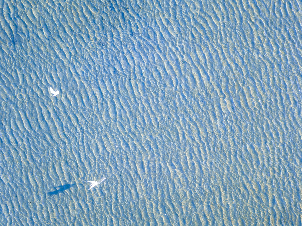 aerial photography of body of water