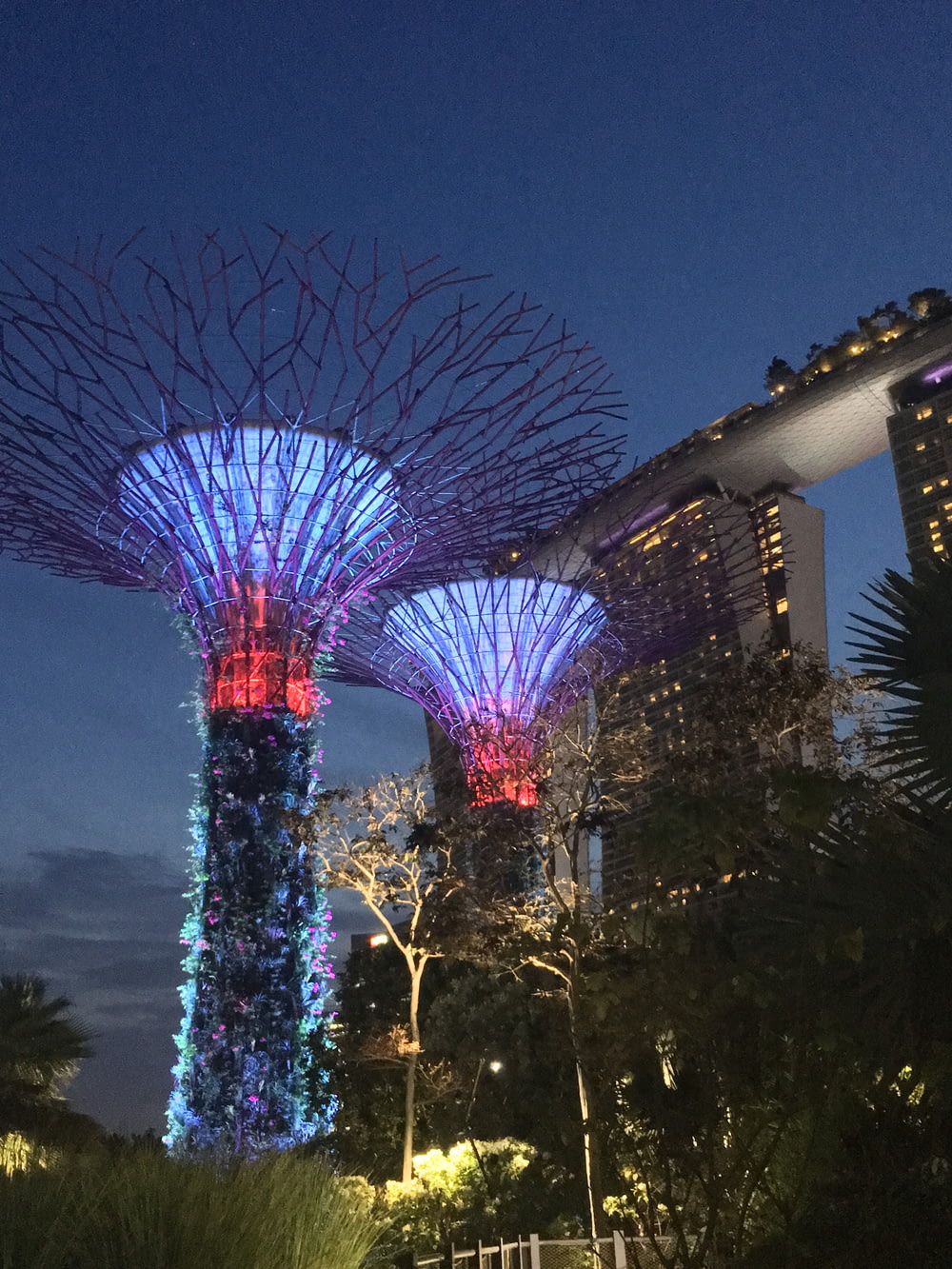 Sables de la baie de la marina de Singapour et arbre Supergrove