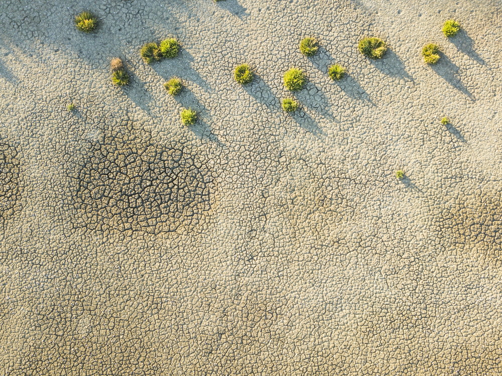 an aerial view of a sandy area with small trees