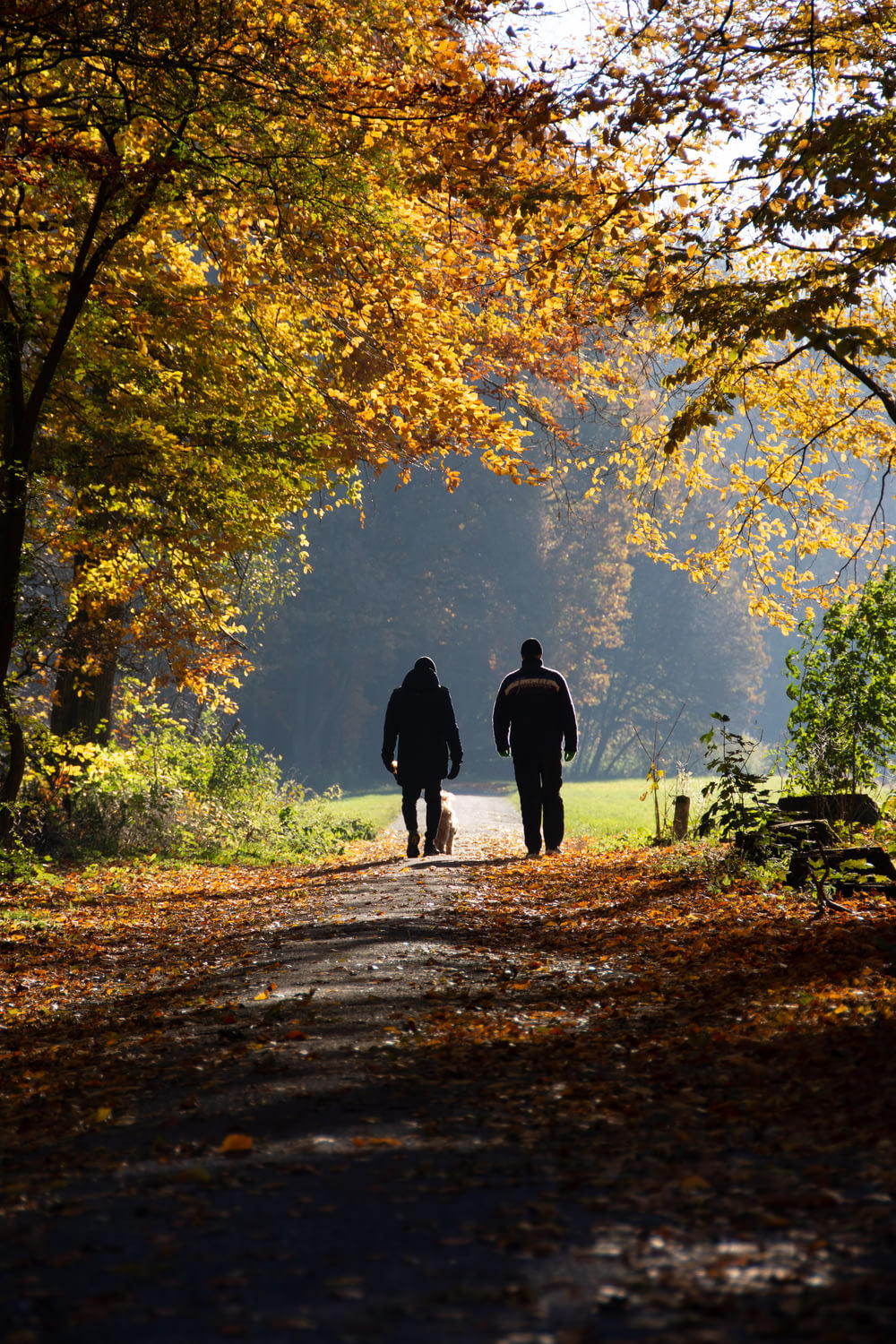 two persons on pathway between trees