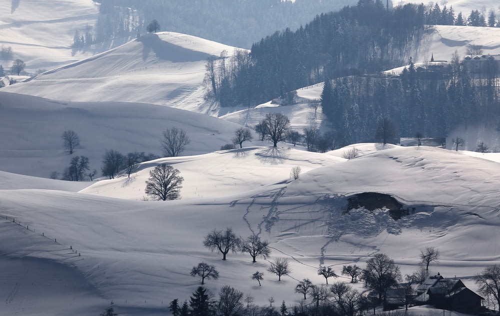 snowy field during daytime
