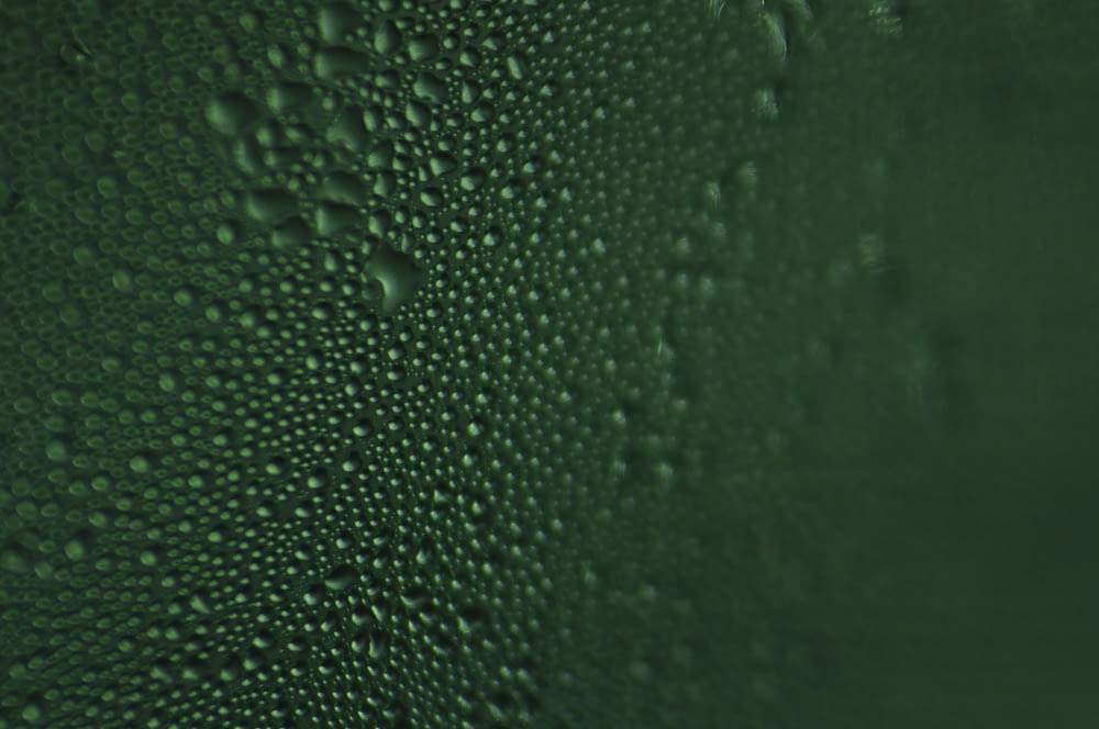 green moist
