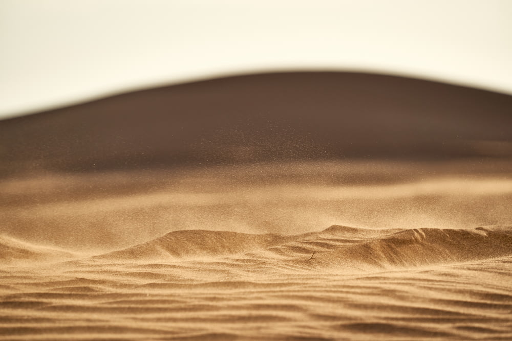 brown sand in closeup photography