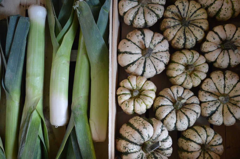 scallion and pumpkin lot collage