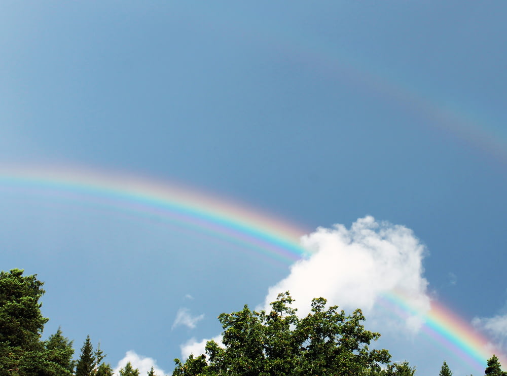 low angle photography of rainbow