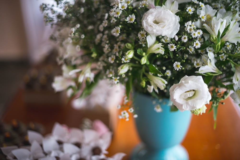 white petaled flowers in vase