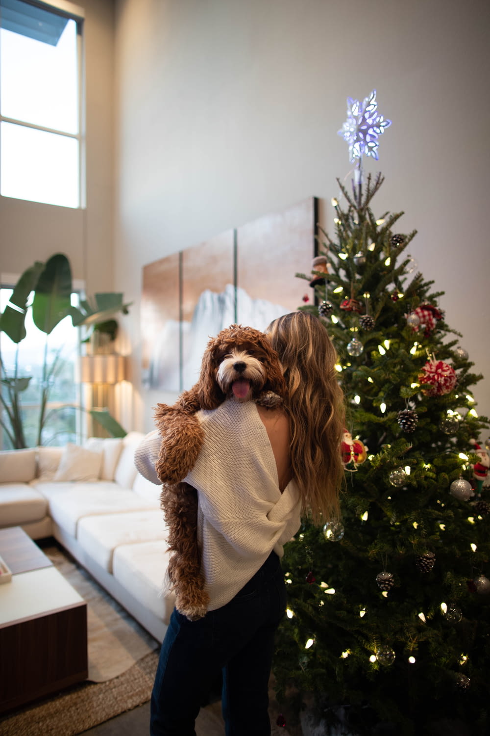 femme portant un chien à côté de l’arbre de Noël
