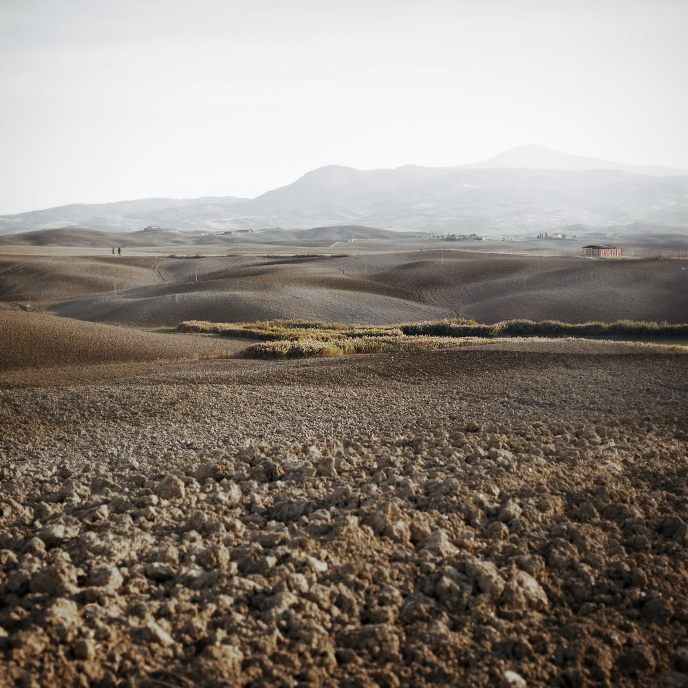 landscape photograph of steppe