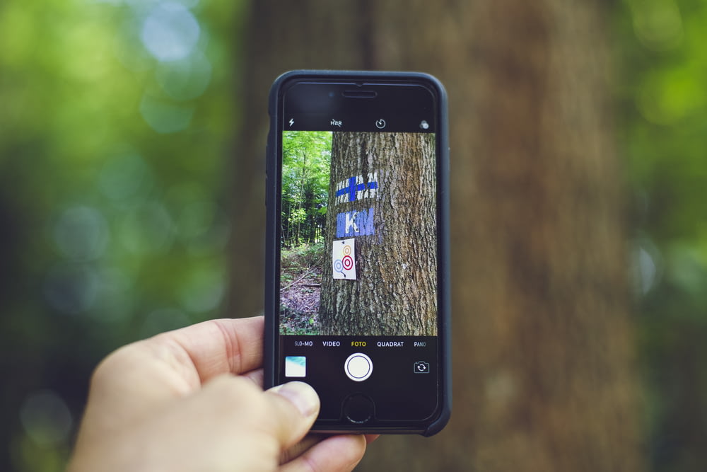スペースグレイのiPhone 6を使って木の写真を撮る人