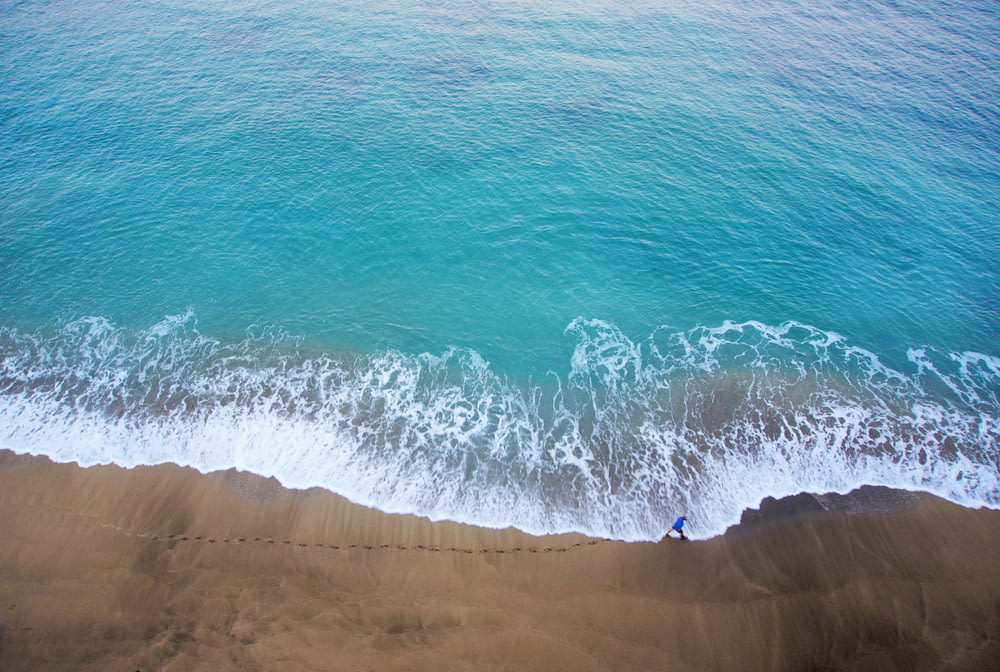 bird's-eye view photography of person walking on beach