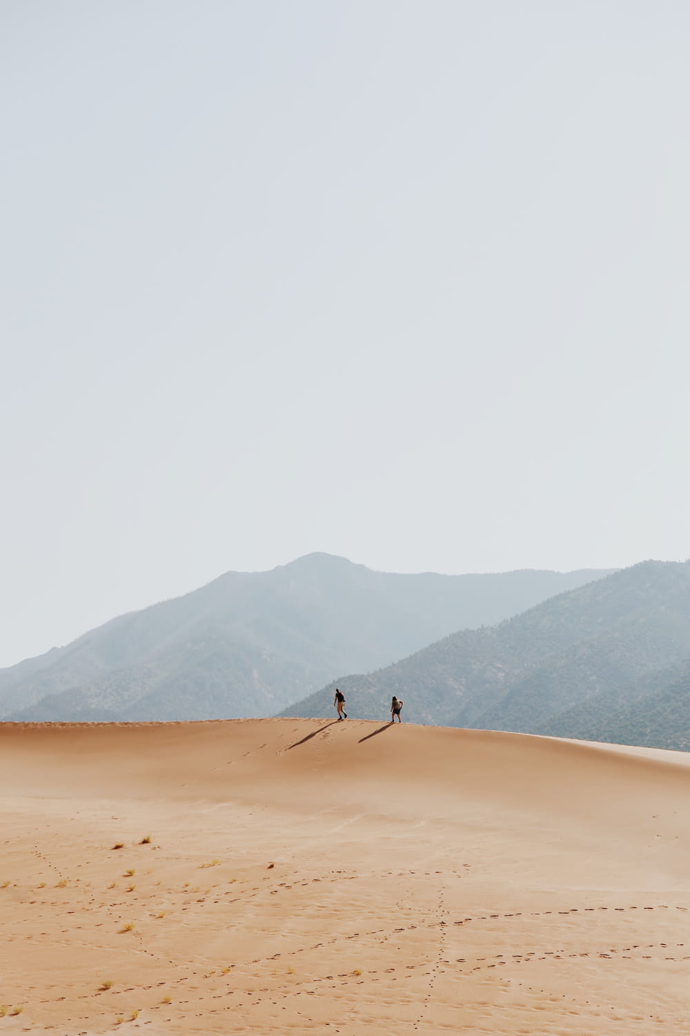 two person walking on dessert during daytime