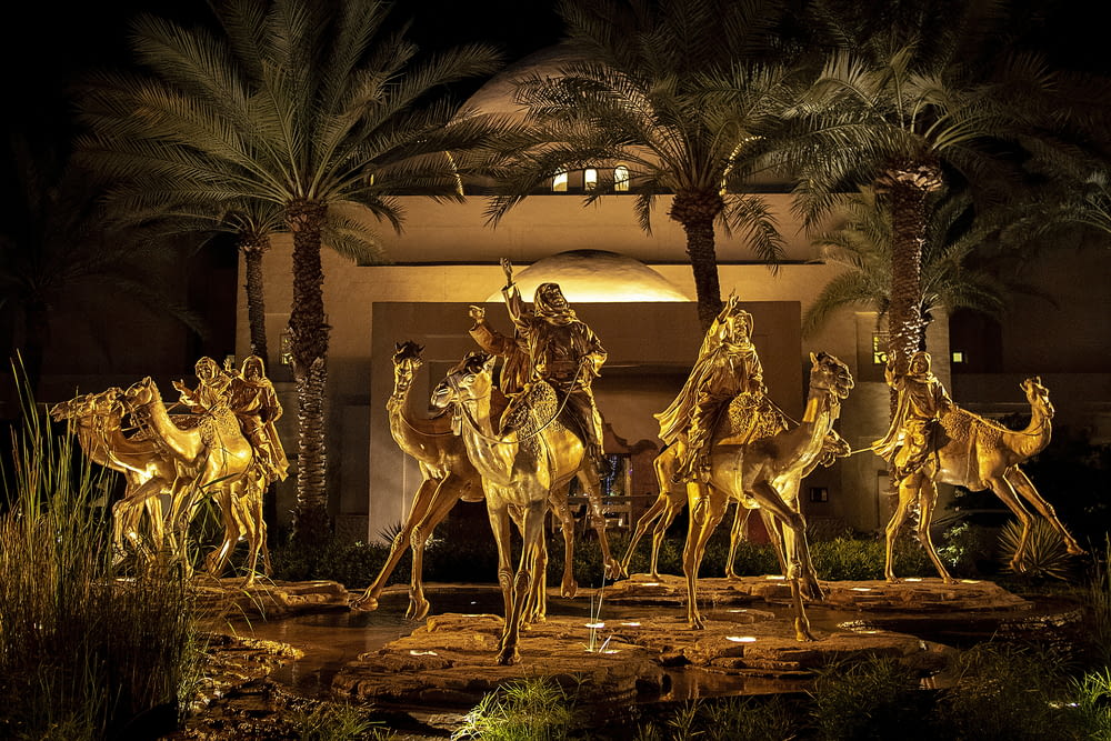 women riding on camel during nighttime