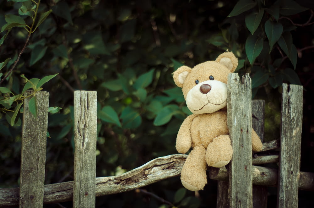 bear plush toy on fence