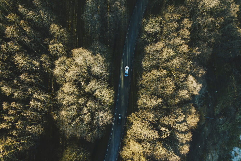 木々の間の道路を走る2台の車両の航空写真