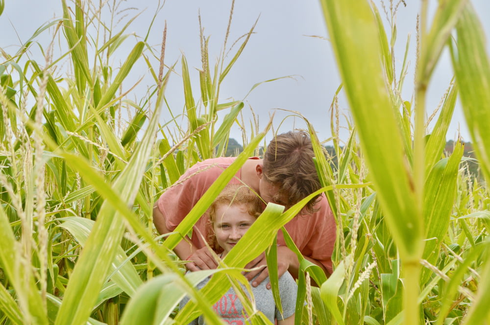boy holds girls shoulder in cornfield