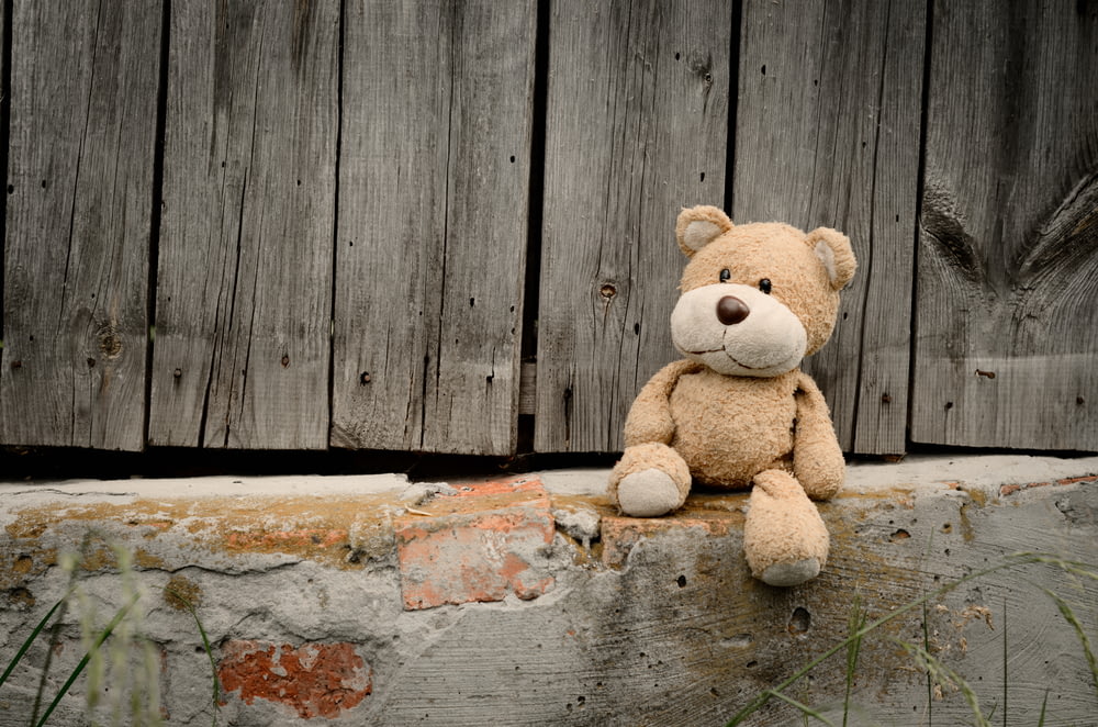 brown bear plush toy on concrete surface