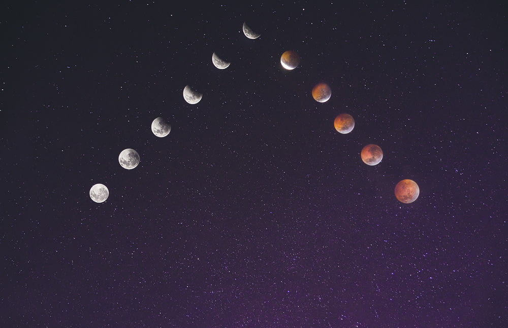 time lapse photography of assorted moon illustration