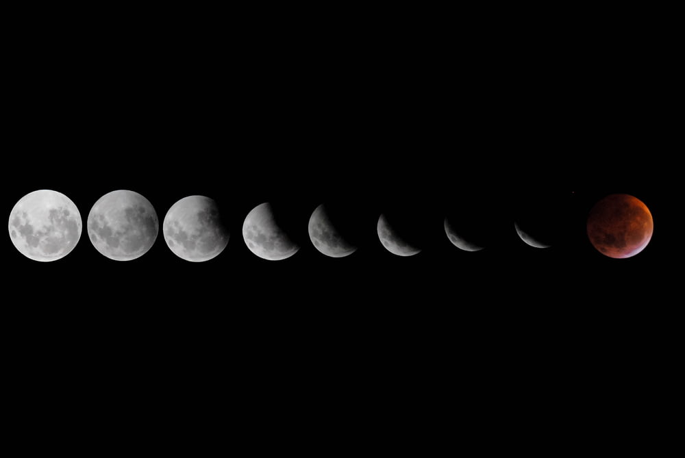 月食の写真