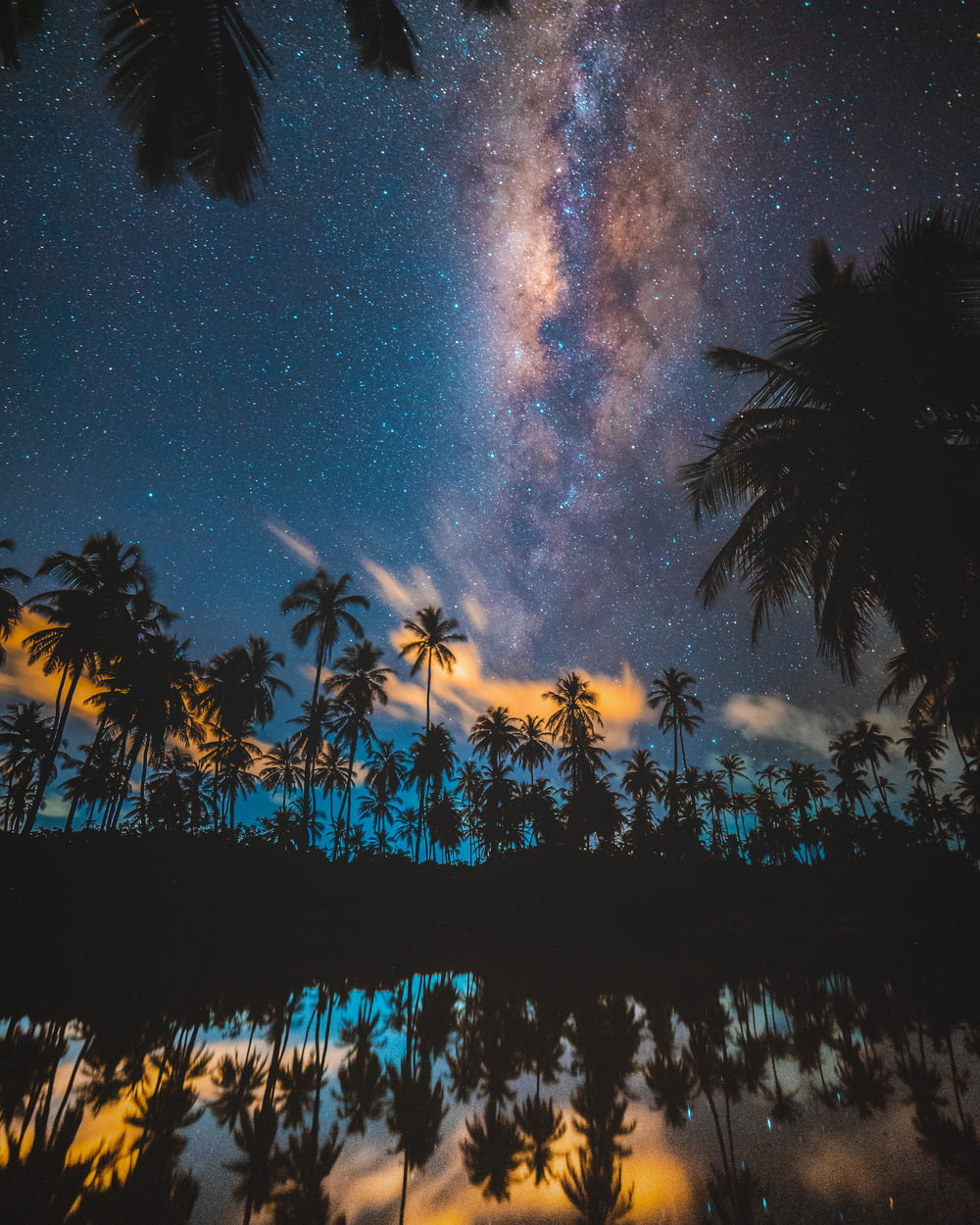 silhouette of coconut trees reflected on body of water