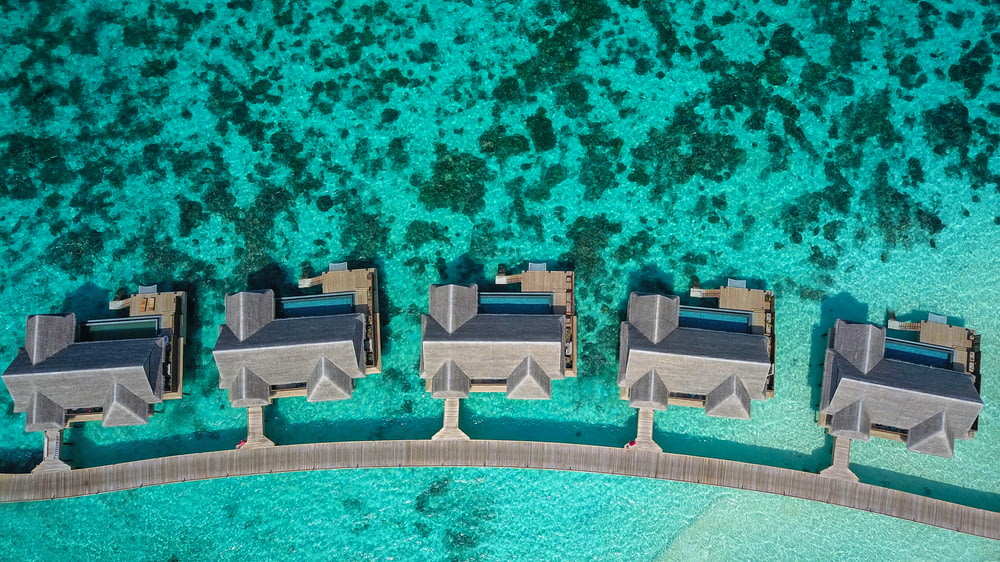 aerial photography of gray houses beside body of water