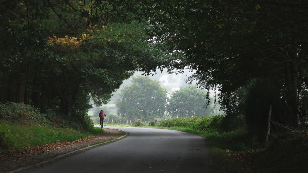 person walking towards trees