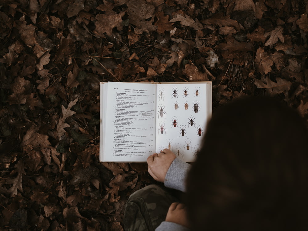 person in gray long-sleeved shirt sitting on dried leaves while reading insect book