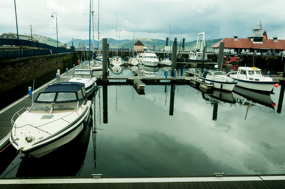 white speedboats dock on harbour during daytime