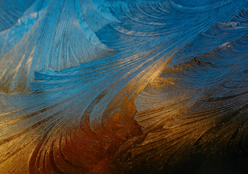 a close up of a blue and gold feather