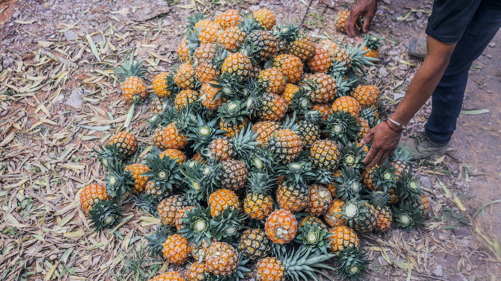 mucchio di frutti di ananas