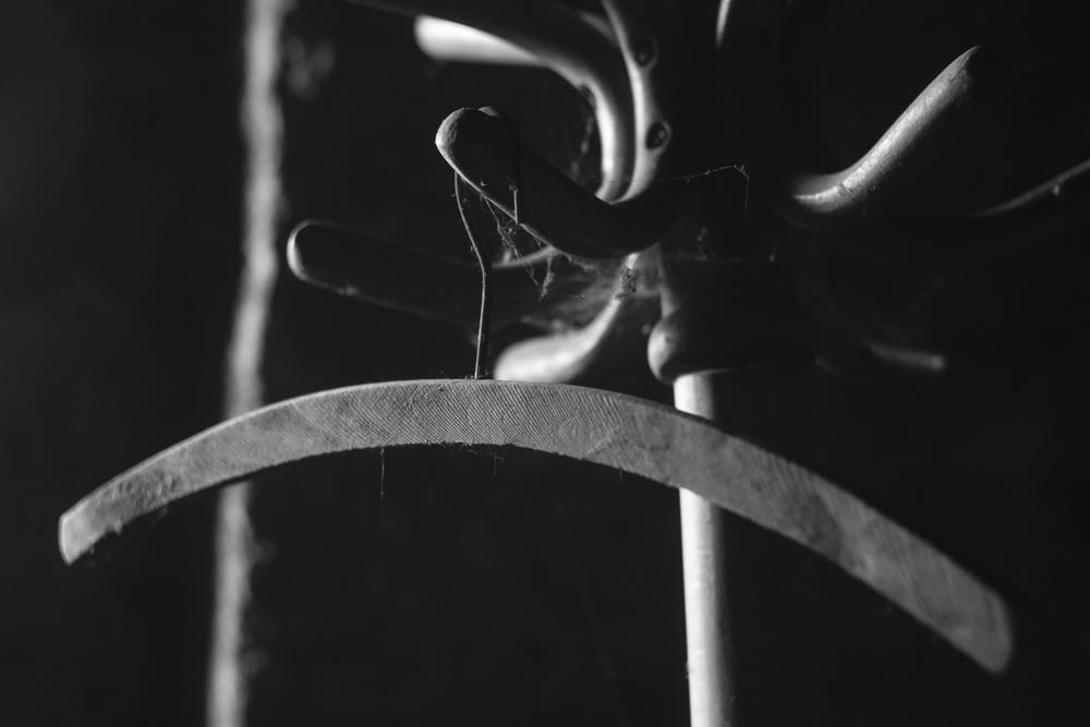 a black and white photo of a pair of scissors