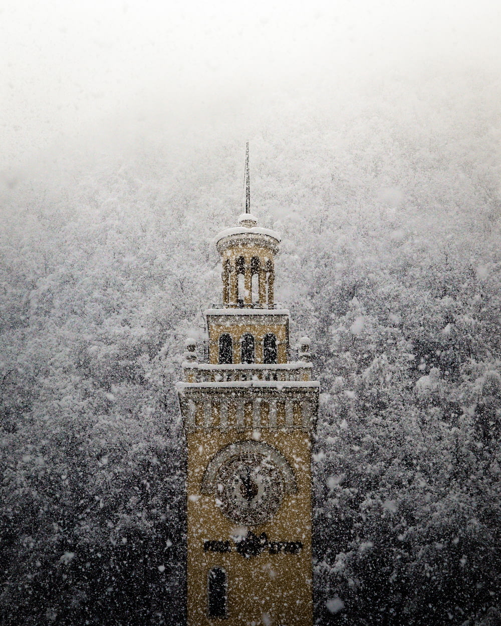 clock tower during winter