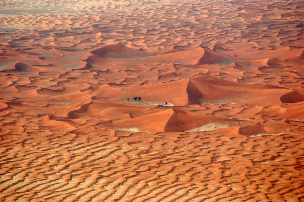 brown desert field