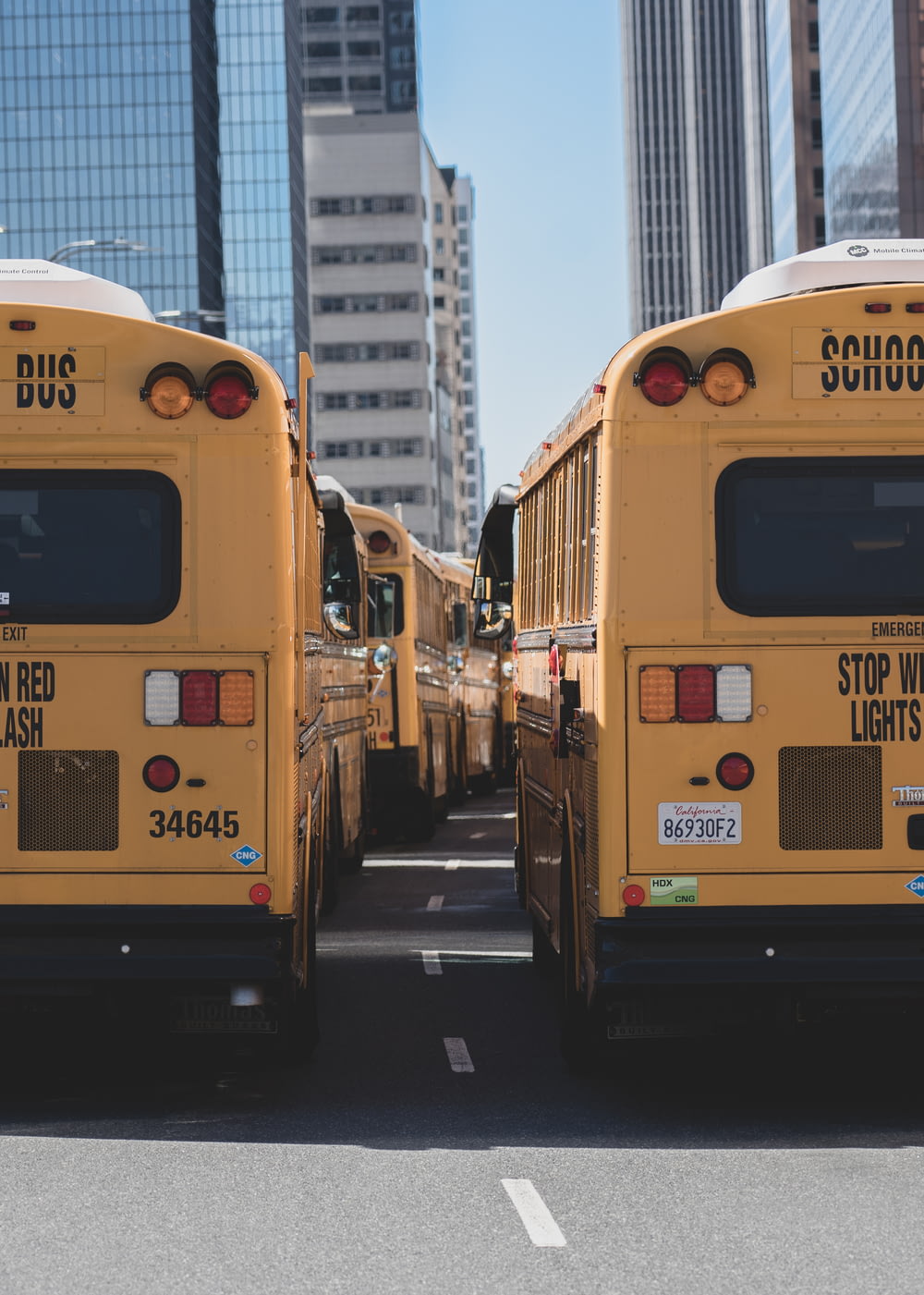 school buses on road during daytime