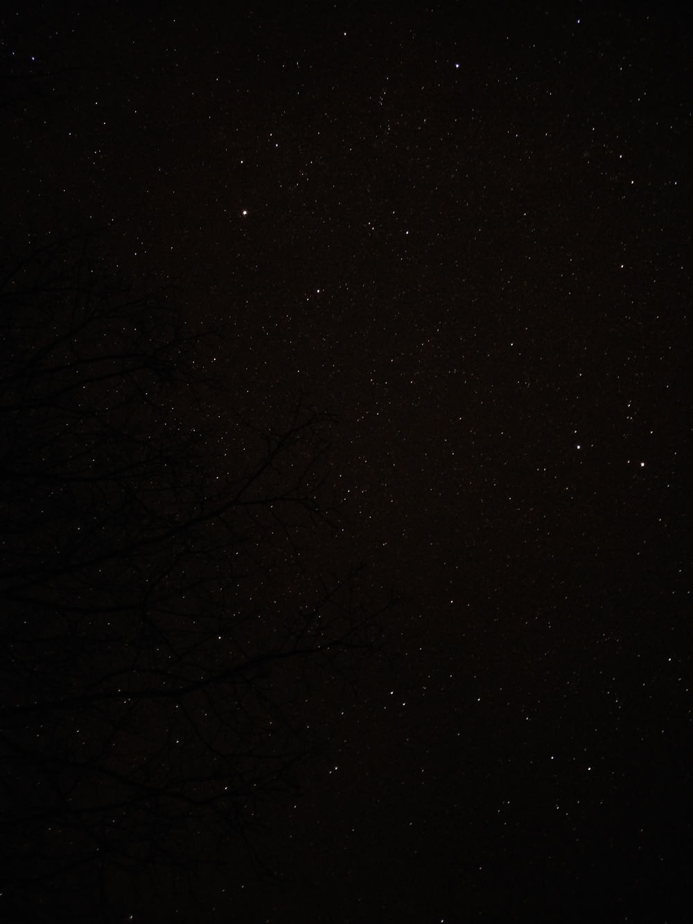 Vista da noite estrelada