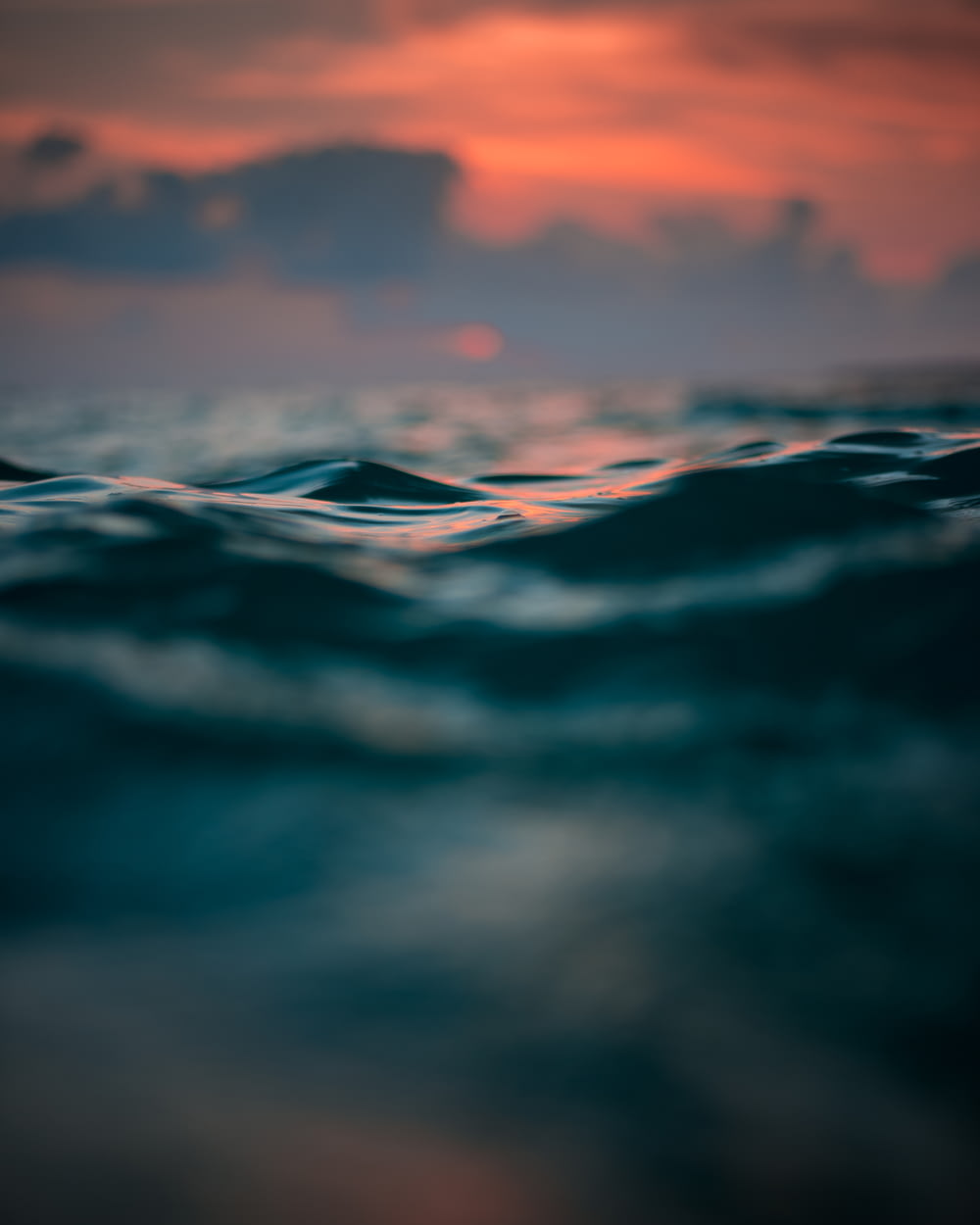 fotografia de foco seletivo da água