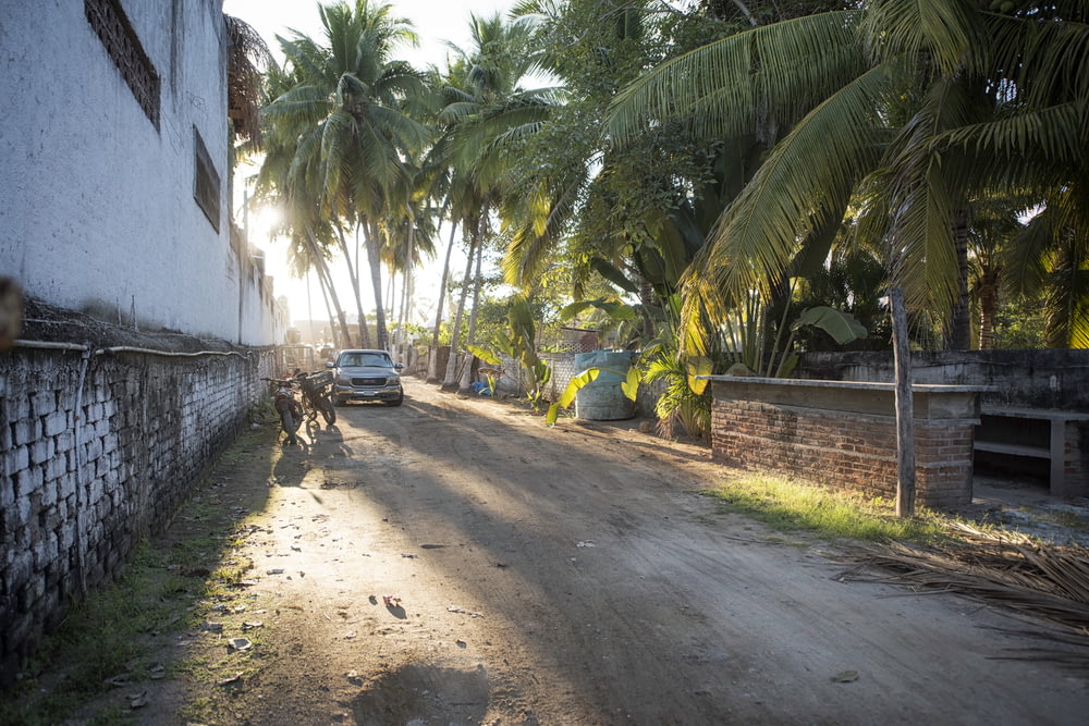 car beside motorcycle surrounded by coconut trees
