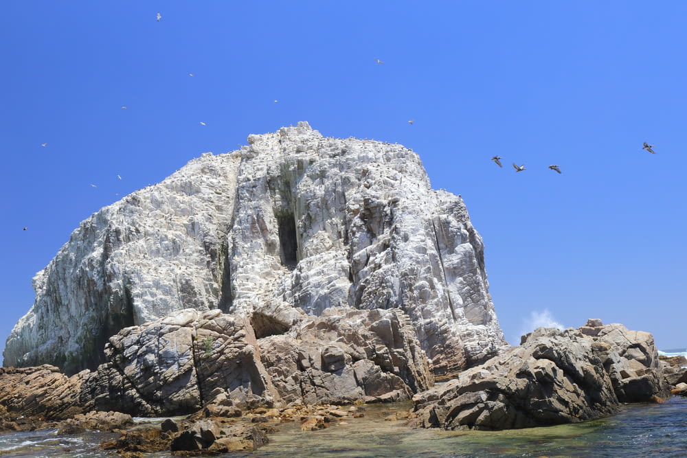 a rocky outcropping with seagulls flying over it