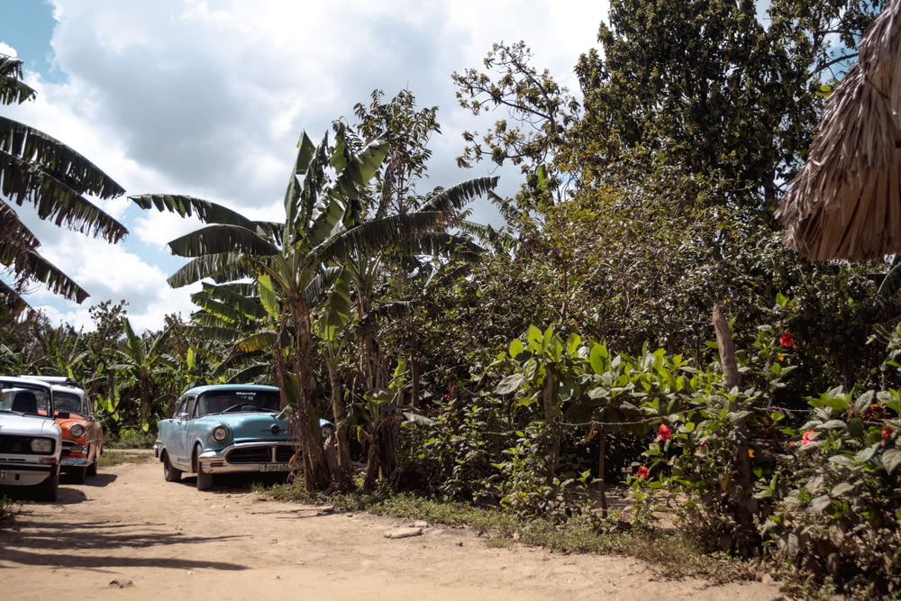 classic blue car parked beside dirt track and banana trees during daytime