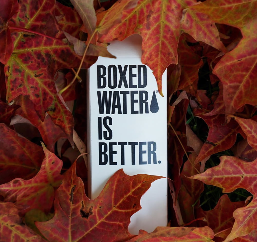 A carton of Boxed Water covered in orange leaves