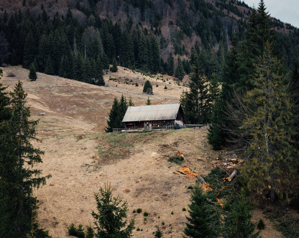 gray cabin during daytime