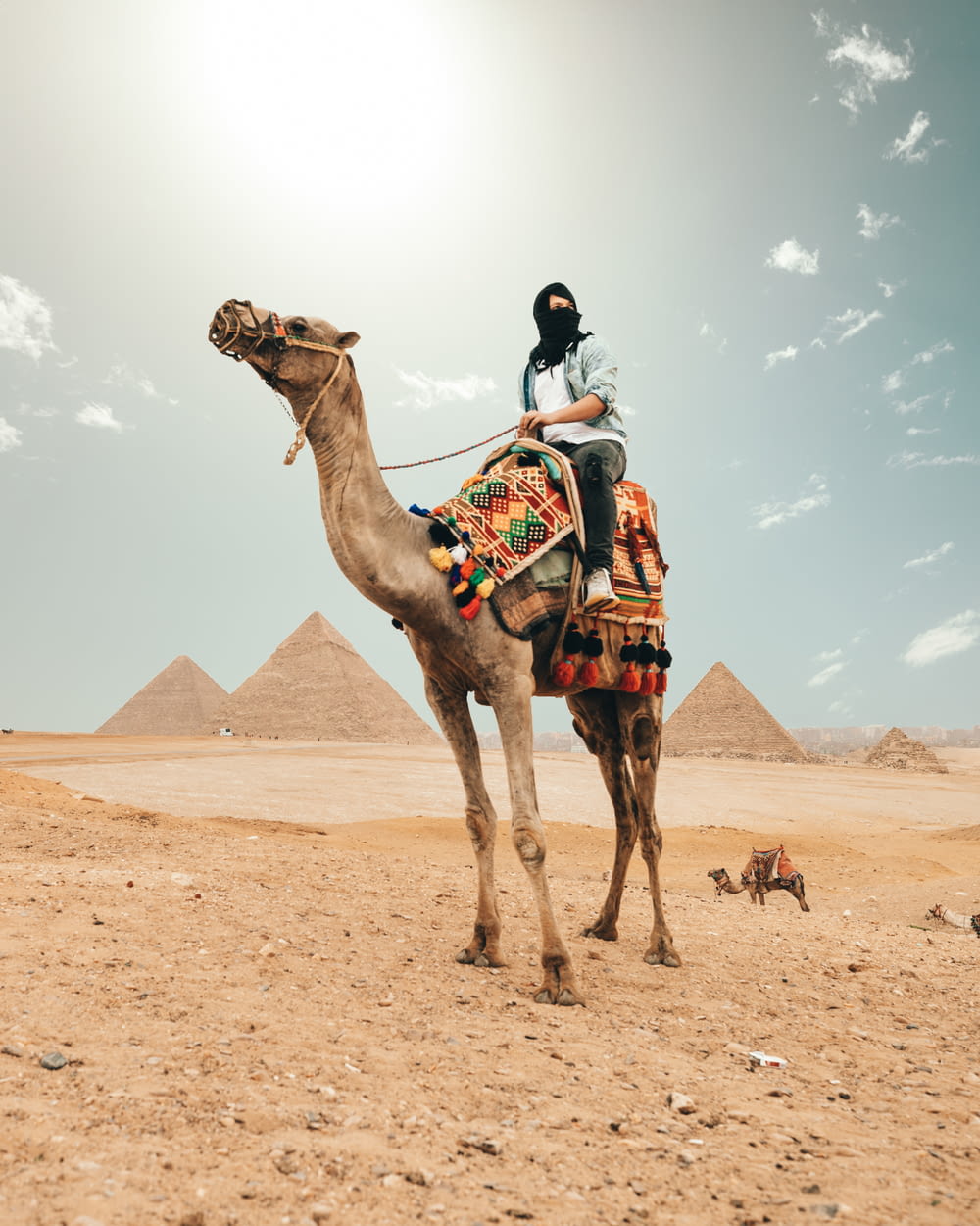 pessoa montando camelo