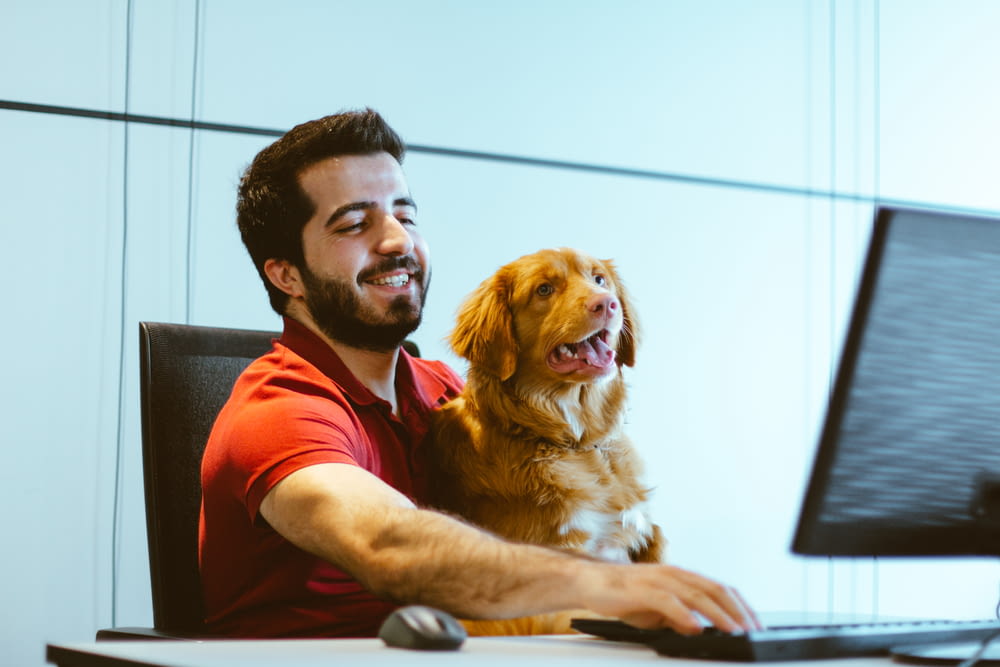 dog sitting on man's lap while using computer