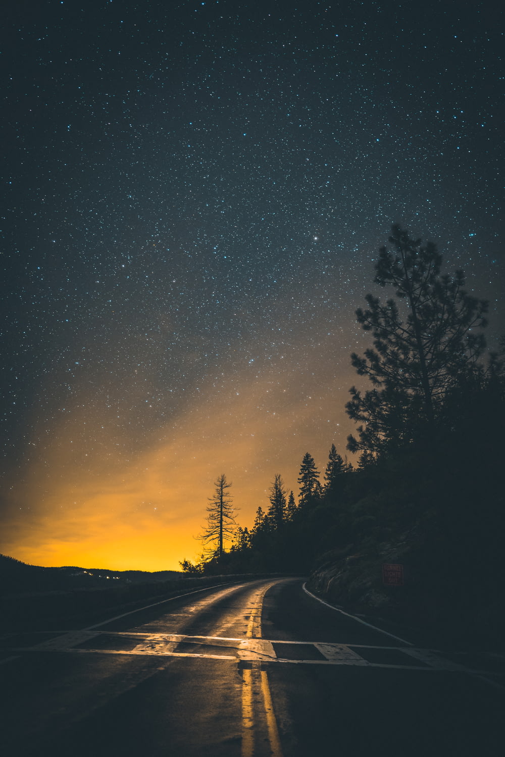 silhouette of trees near road during starry night