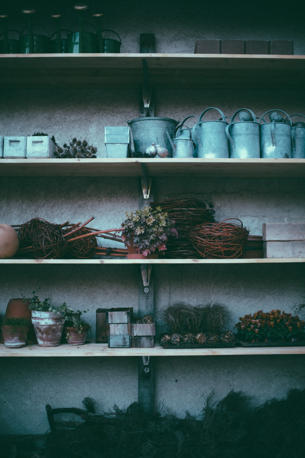 a shelf filled with lots of plants and pots