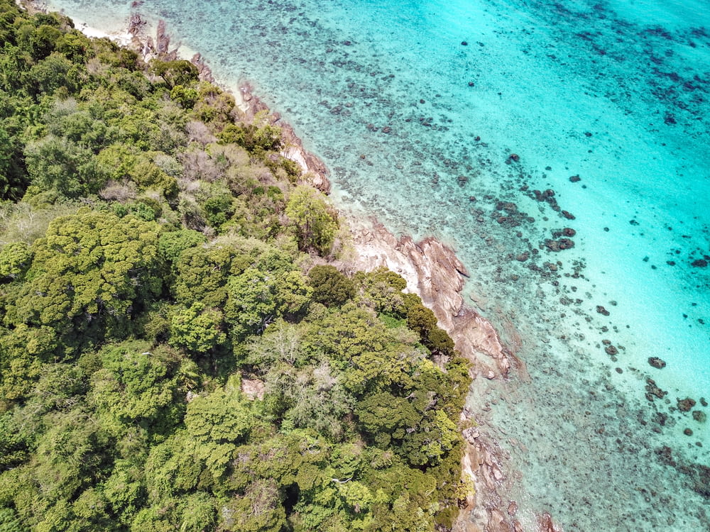 aerial photography of island with trees near ocean