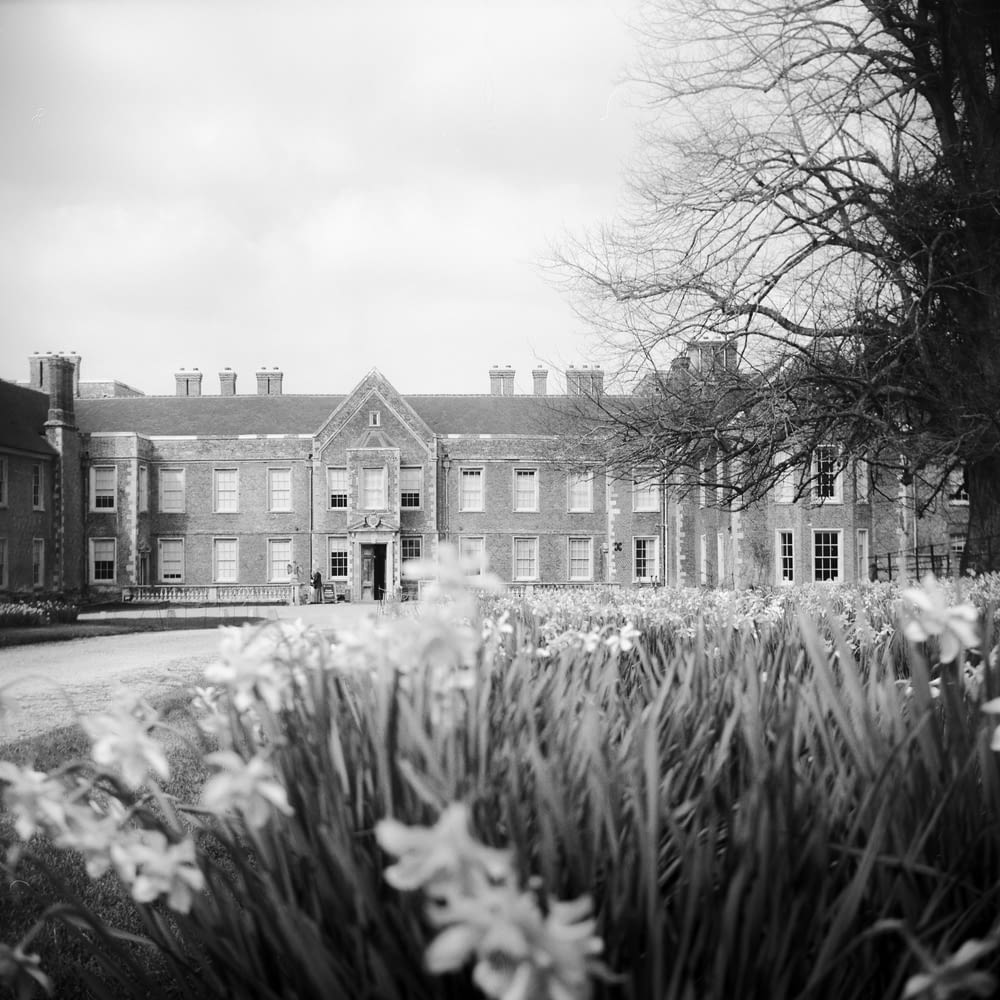 grayscale photography of flower garden in front of mansion