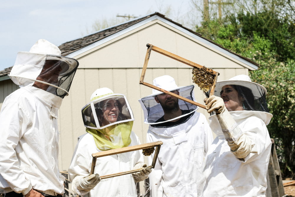 Vier Personen im Anti-Bienenbiss-Anzug halten bei Tageslicht Waben