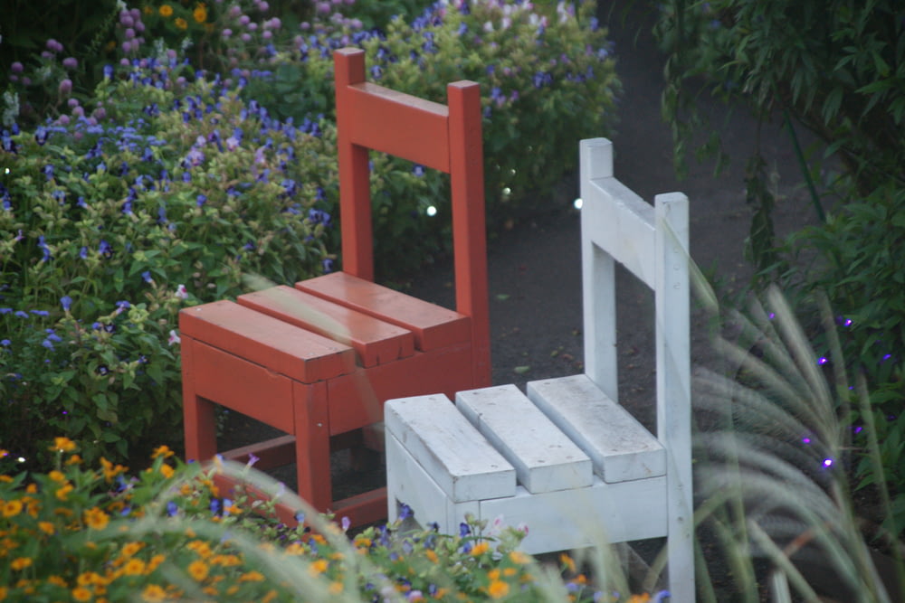 two red and white wooden armless chairs